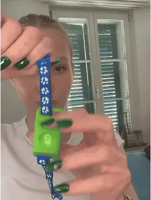 Attache-le au collier