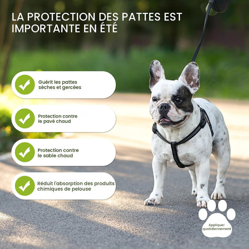 Baume pour pattes et museau de chien sans danger en cas d'ingestion