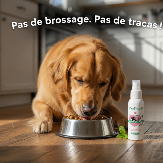 Spray dentaire anti-tartre - chiens/chats
