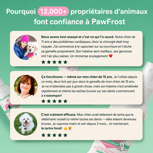 Spray dentaire anti-tartre - chiens/chats