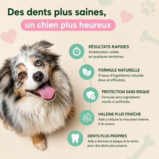 Spray dentaire anti-tartre - chiens/chats