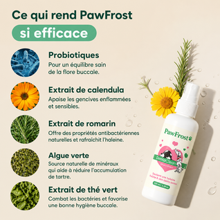 Spray dentaire anti-tartre - chiens/chats