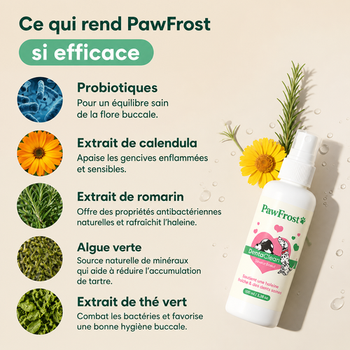 Spray dentaire anti-tartre - chiens/chats