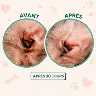 Gouttes Nettoyantes Oreilles - Chien & Chat