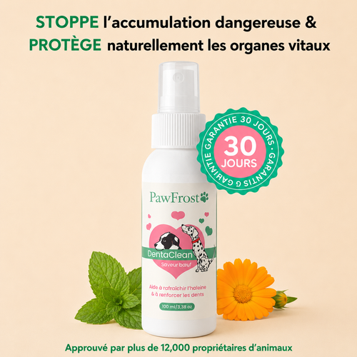 Spray dentaire anti-tartre - chiens/chats