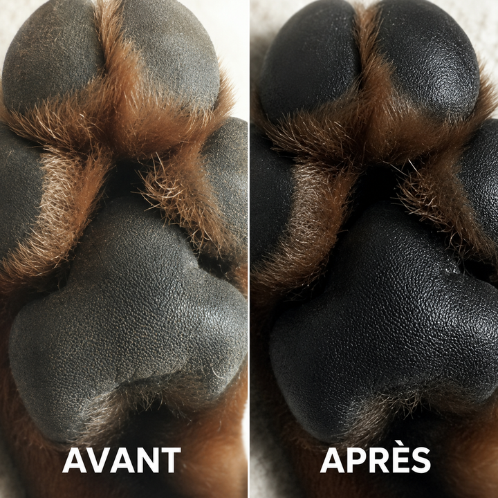 Review by Antoine C.