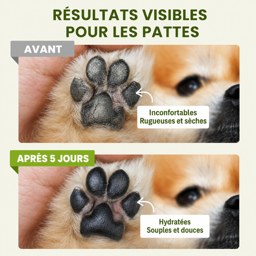 Baume pour pattes et museau de chien sans danger en cas d'ingestion