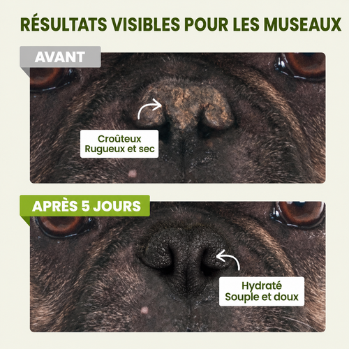 Baume pour pattes et museau de chien sans danger en cas d'ingestion
