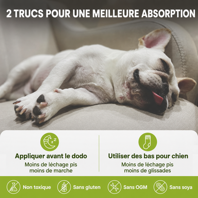 Baume pour pattes et museau de chien sans danger en cas d'ingestion