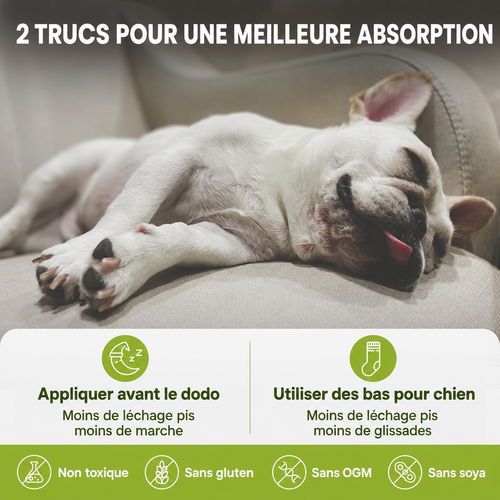Baume pour pattes et museau de chien sans danger en cas d'ingestion