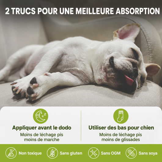 Baume pour pattes et museau de chien sans danger en cas d'ingestion