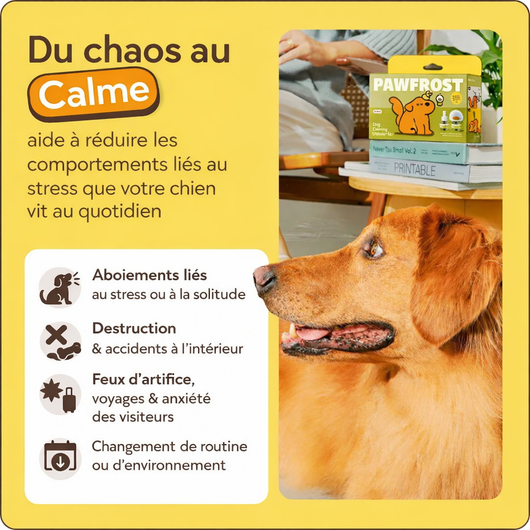 PawFrost - Diffuseur Apaisant aux Phéromones pour Chien