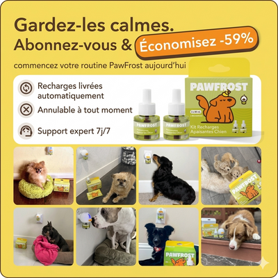 PawFrost - Diffuseur Apaisant aux Phéromones pour Chien