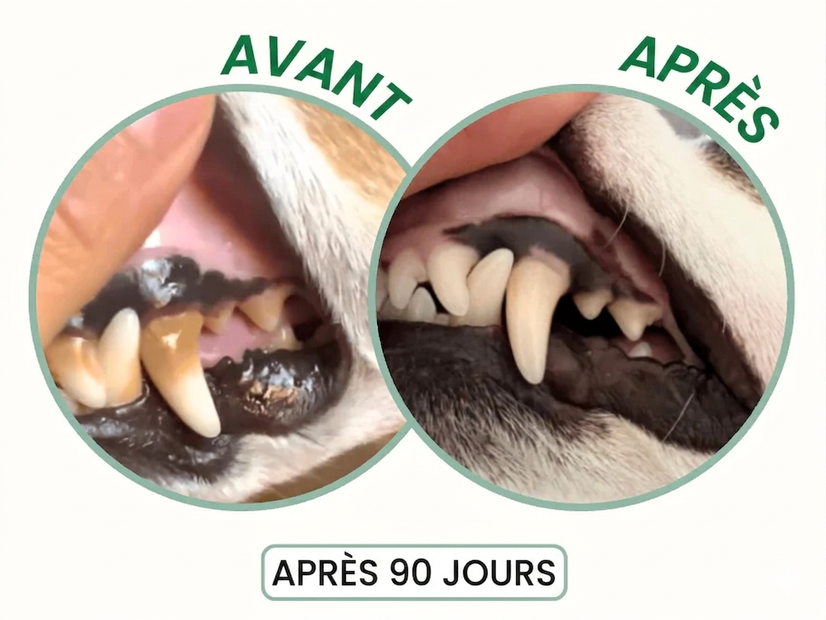 Add to their food or their teeth
