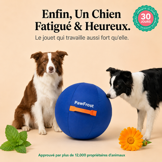 PawFrost™ Balle Instinct