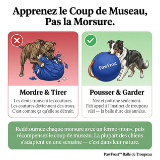 PawFrost™ Balle Instinct