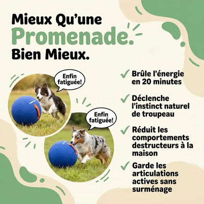 PawFrost™ Balle Instinct