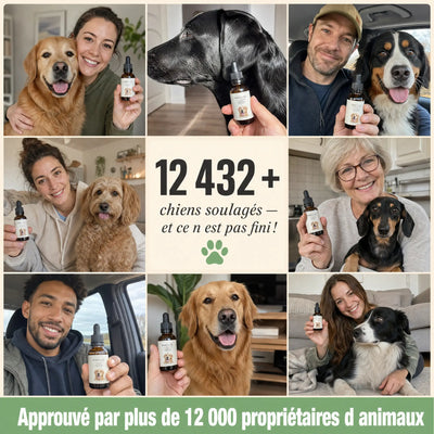 Gouttes Reset Levures + Anti-Démangeaisons - Chien & Chat