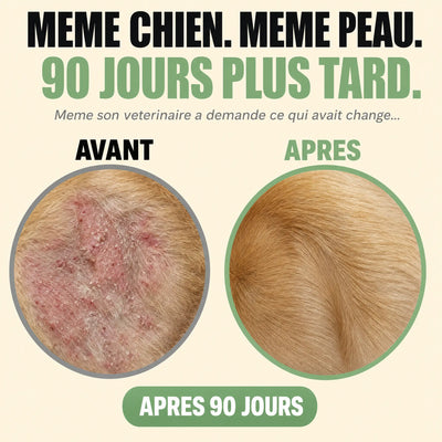 Gouttes Reset Levures + Anti-Démangeaisons - Chien & Chat