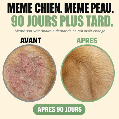 Gouttes Reset Levures + Anti-Démangeaisons - Chien & Chat