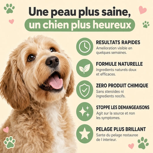 Gouttes Reset Levures + Anti-Démangeaisons - Chien & Chat