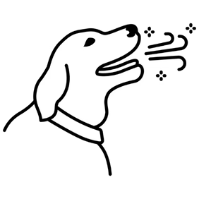 Haleine plus fraîche
